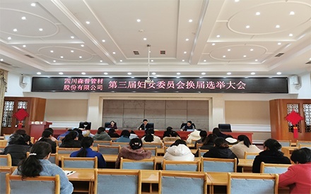四川森普管材股份有限公司第三屆婦女委員會(huì)和第四屆團(tuán)委委員會(huì)換屆選舉大會(huì)順利召開(kāi)
